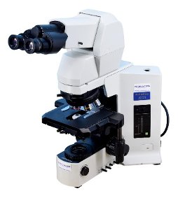 Optical Microscope Stage