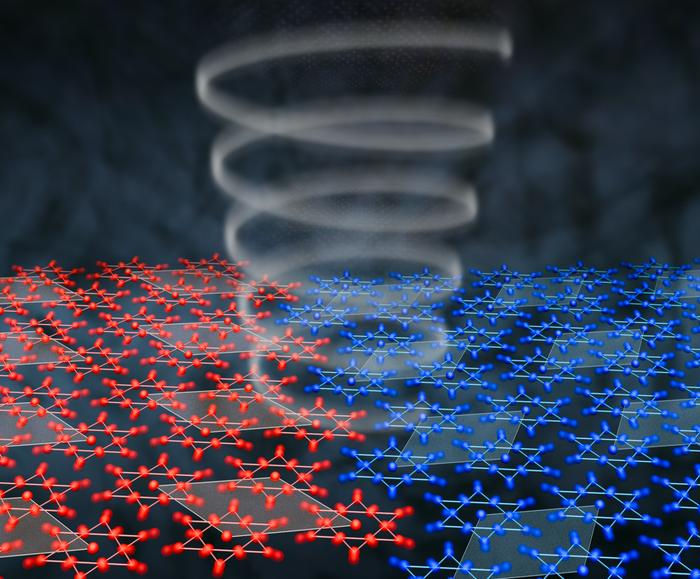 Exotic quantum phase dynamically connects vibrations that symmetry keeps apart