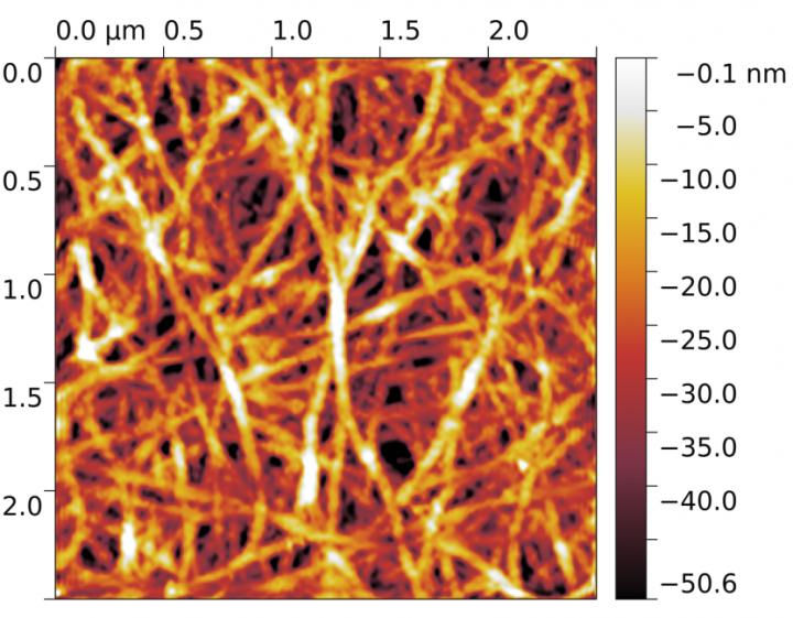 Atomic force microscopy image of the surface of a carbon nanotube film. The fragment seen on the image is 2.5 by 2.5 micrometers. The false color bar indicates the penetration depth of the microscope tip. Image courtesy of the researchers. @ MIPT Press Office