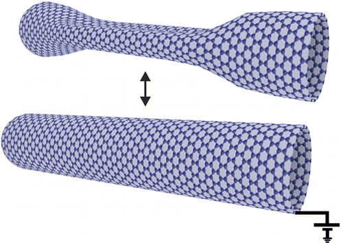 In situ transmission electron microscopy experiments employing a nanoelectromechanical manipulator show that a collapsed carbon nanotube can be reinflated by electrically charging the nanotube, thus realizing an electrostatically driven nanoballoon actuator. @ Umeå University