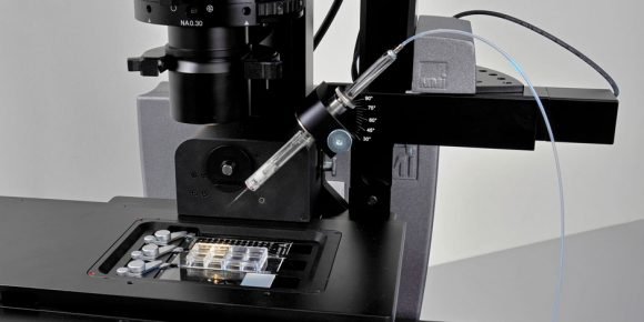 MMI CellEctor