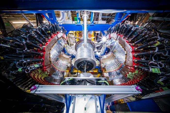 The experimental setup WASA in maintenance position. @J. Hosan, GSI/FAIR