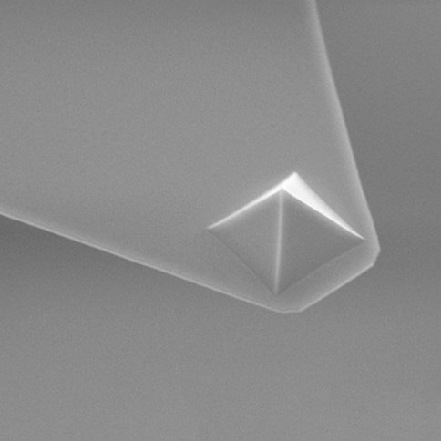 XNC12/Cr-Au AFM Probe with Gold Coated Silicon Nitride AFM Cantilevers