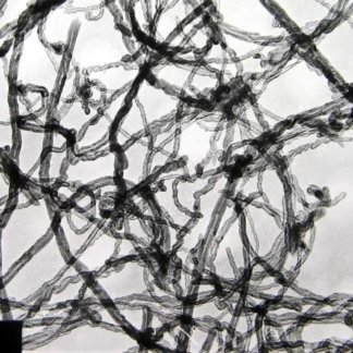 COOH Functionalized Graphitized Multi Walled Carbon Nanotubes 30-50nm