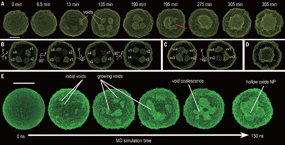 Snapshots of the 3-D structure of iron nanoparticles in the course of the oxidation process, captured through large-scale reactive molecular dynamic simulations. These simulations enhance our understanding of processes like oxidation and corrosion, and build a foundation for developing integrated imaging techniques to control or manipulate these types of reactions. (Image by Yugang Sun, Xiaobing Zuo, Subramanian Sankaranarayanan, Sheng Peng, Badri Narayanan and Ganesh Kamath, Argonne National Laboratory/Temple University.)