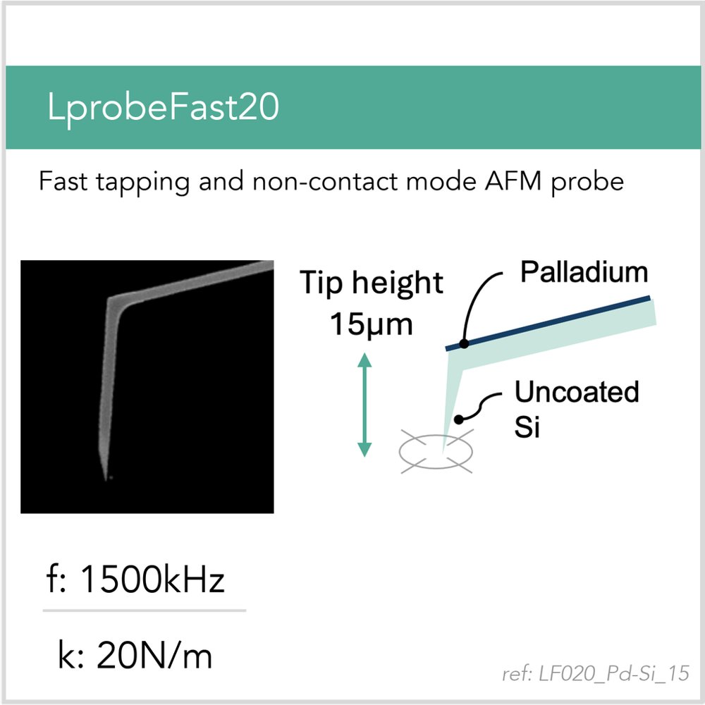 LprobeFast20 Pd-Si