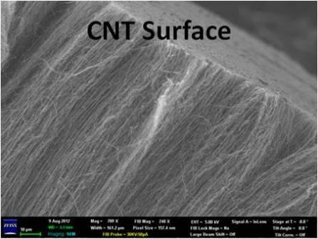 Vertically Aligned Carbon Nanotube Arrays