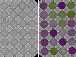 Study reveals shared behavior of microbes and electrons