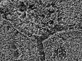 Nanotech enables powerful and portable sterilization equipment