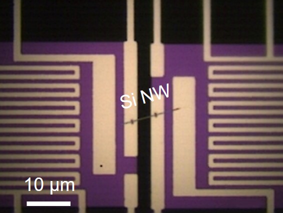 Optical microscopy image of a microdevice consisting of two suspended pads bridged by a silicon nanowire. @ Junqiao Wu/Berkeley Lab