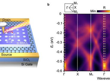 Dynamic tuning of Bloch modes in anisotropic phonon polaritonic crystals