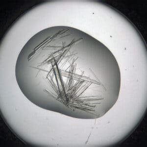 Rock Imager® - Crystallization Imagers