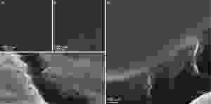 These images show scanning electron micrographs of the researchers' sample quantum dot films. The dark spots are the individual quantum dots, each about 5 nanometers in diameter. Images a and b show the consistent size and alignment of the quantum dots at the surface. The exposed edges in images c and d show depth and long-range ordering of the nanocrystals. Image courtesy of the researchers