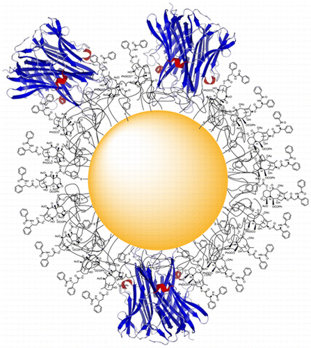 Researchers create therapy that curbs toxic chemotherapy effects