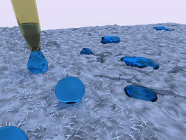 Added bacterial film makes new mortar resistant to water uptake