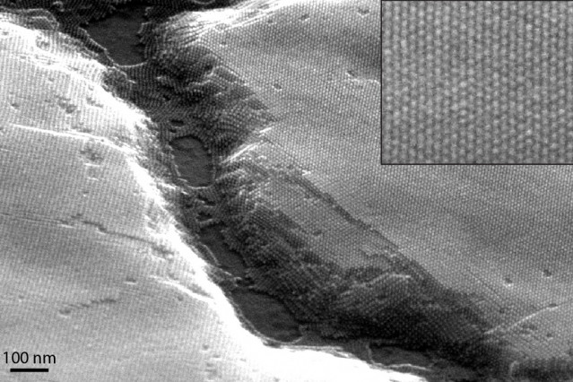 A scanning electron micrograph of a nanocrystal superlattice shows long-range ordering over large domains. Image courtesy of the Tisdale Lab.