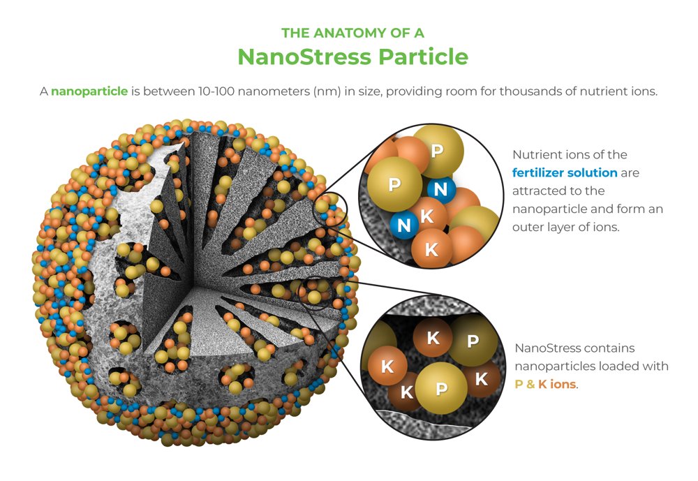 NanoStress®