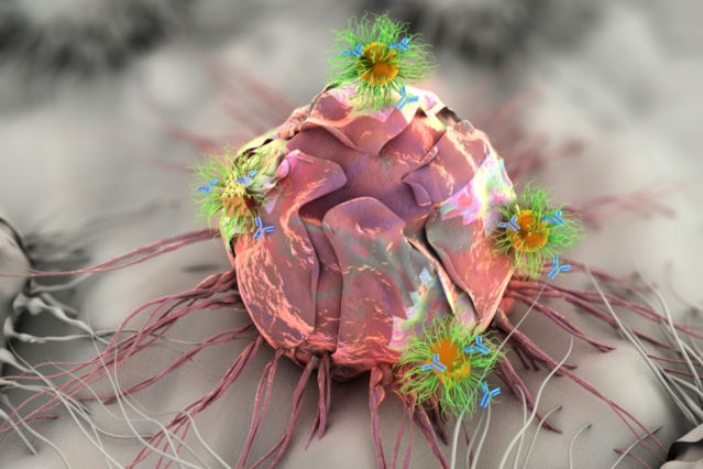 Researchers at MIT are developing an adhesive patch that can stick to a tumor site, either before or after surgery. The patch delivers a triple-combination of drug, gene, and photo (light-based) therapy via specially designed nanospheres and nanorods, shown here attacking a tumor cell. Image: Ella Maru