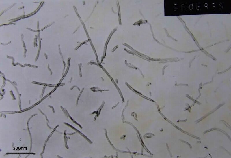 Short Carbon Nanotubes