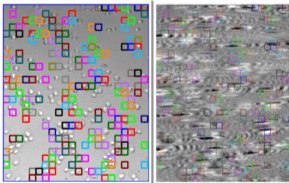 ImageSPR TM software