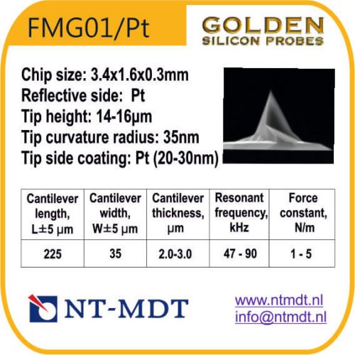 FMG01/Pt