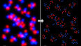 MIT and Broad Institute researchers break diffraction barrier in super-resolution microscopy
