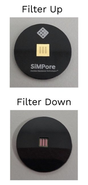 SiMPore Filter Disks