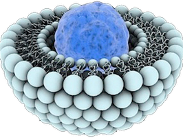 A step towards a Type 1 Diabetes vaccine by using nanotherapy