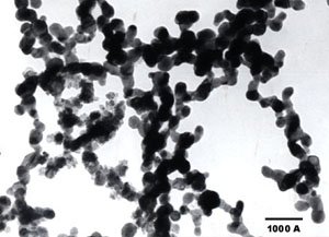 NanoMetals