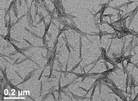 Cellulose Nanocrystals (CNCs)