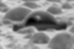 This is an electron microscope view into the interior of a platinum bubble. The cross-section was exposed with a focused ion beam. Below the hollow Pt bubble the angular YSZ crystal can be seen. @ DESY, Satishkumar Kulkarni