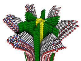 Researchers Develop Completely New Kind of Polymer