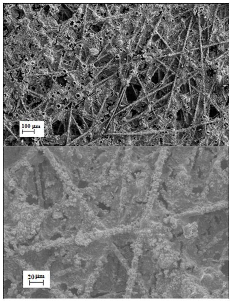 Electrospinning Starter Kit for Random Nanofibers