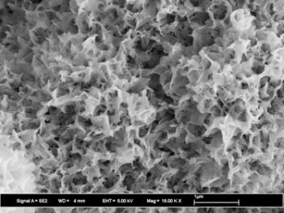 "Flower-like" microstructures forming upon a nanoporous glass monolith featuring 31nm-diameter pores. @ Lehigh University | Thamma, Kowal, Falk, Jain