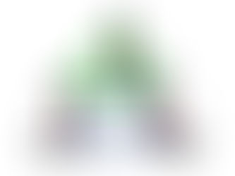 Novel state of matter: Observation of a quantum spin liquid