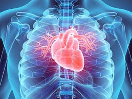Heart Disease Biomarker Captured by New Nanoparticle Technology