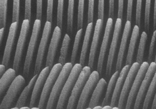 Micro-optics