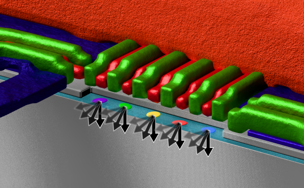 Fig. 1. Rendered illustration of five silicon spin qubits controlled in parallel through a shared microwave line. Credit: RIKEN