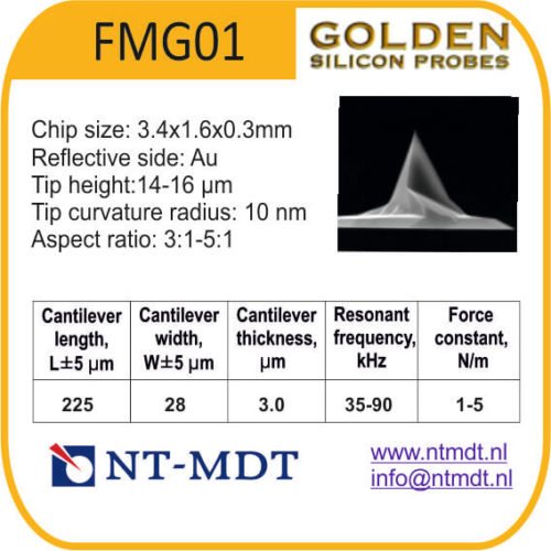 FMG01
