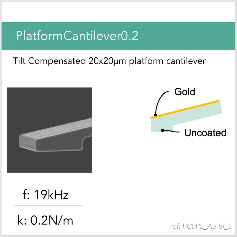 PlatformCantilever0.2 Au-Si