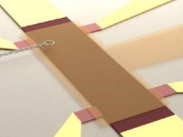 Lifting the veil of topological censorship