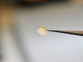 Light controls the separation of ions