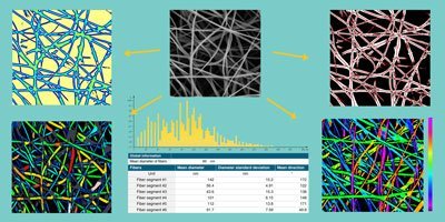 Fiber Analysis (Module)