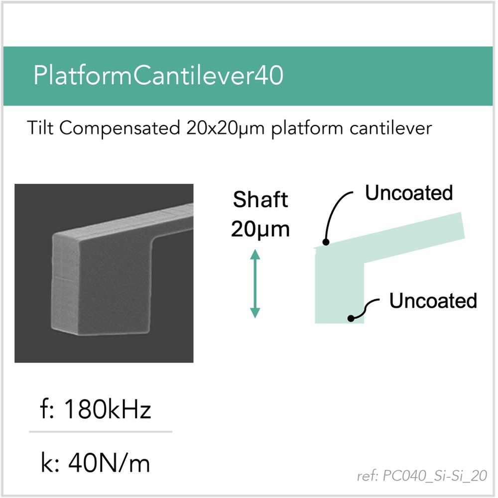 PC040_Si-Si_20 AFM cantilever / AFM probe