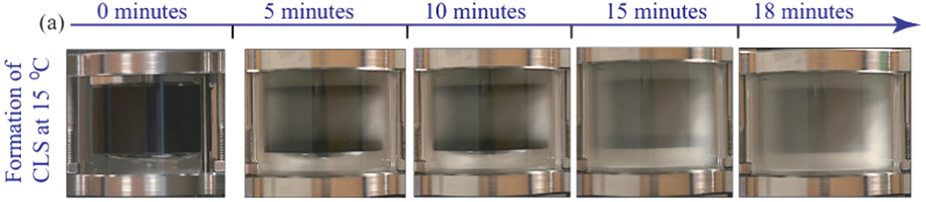 Snap-shots of the surfactant sample becoming more turbid over time because of the formation of ordered crystal-like and branched structures.
