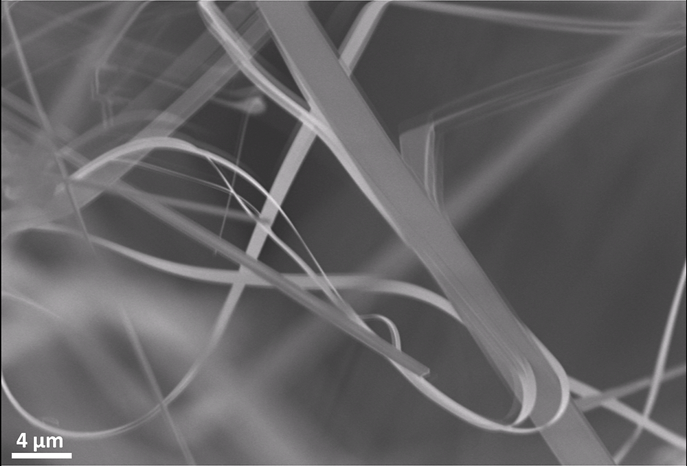 Pasta like SnO2 structures vibrating under the electron beam of the electron microscope. Credit: Mishra/Wiley-VCH