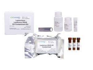 Leprechaun Lentivirus VSVG RNA Kit