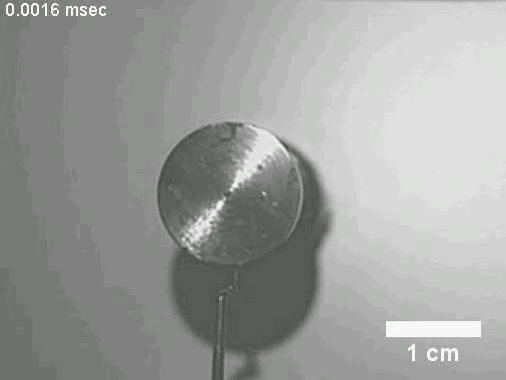 Demonstration of spinning fibers (Video courtesy of Harvard University)