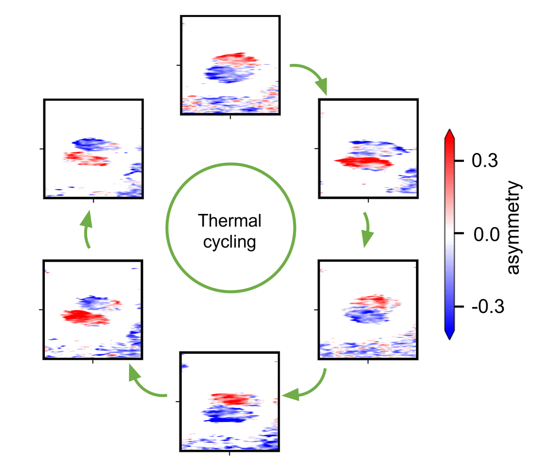Changing the antiferromagnetic ground state. When heated to 380 K and cooled back to room temperature, one of two antiferromagnetic ground states randomly forms. Here, the room-temperature dichroism is shown for each of six thermal cycles. @ Berkeley Lab