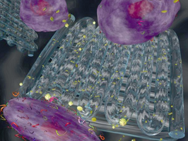 Texas A&M research team develops bioinks to print therapeutics in 3D